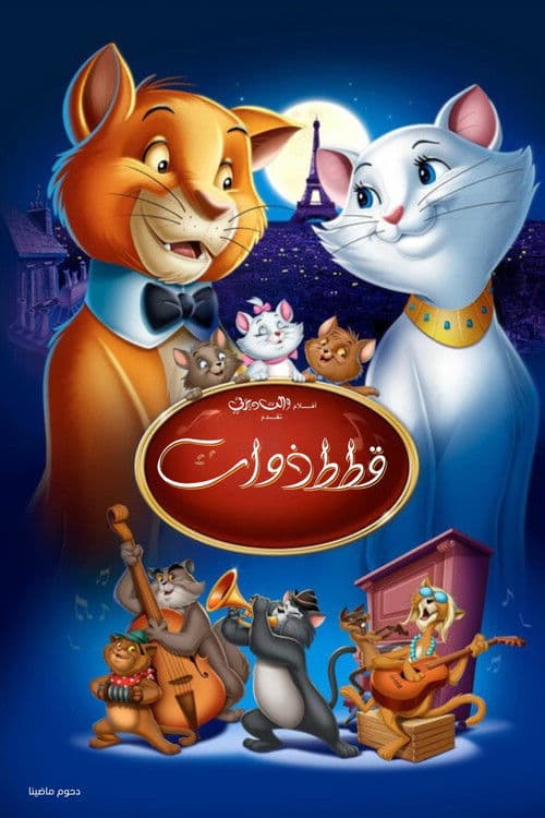 قطط ذوات